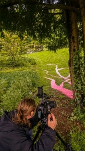 0516-jikke-ligteringen